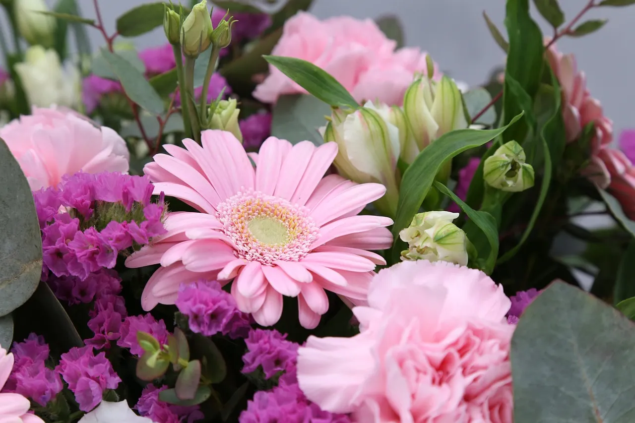 Pivoines